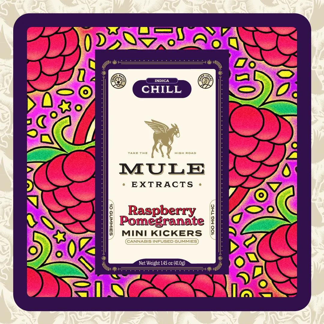 100mg 10-Piece Raspberry Pomegranate Mini Kickers