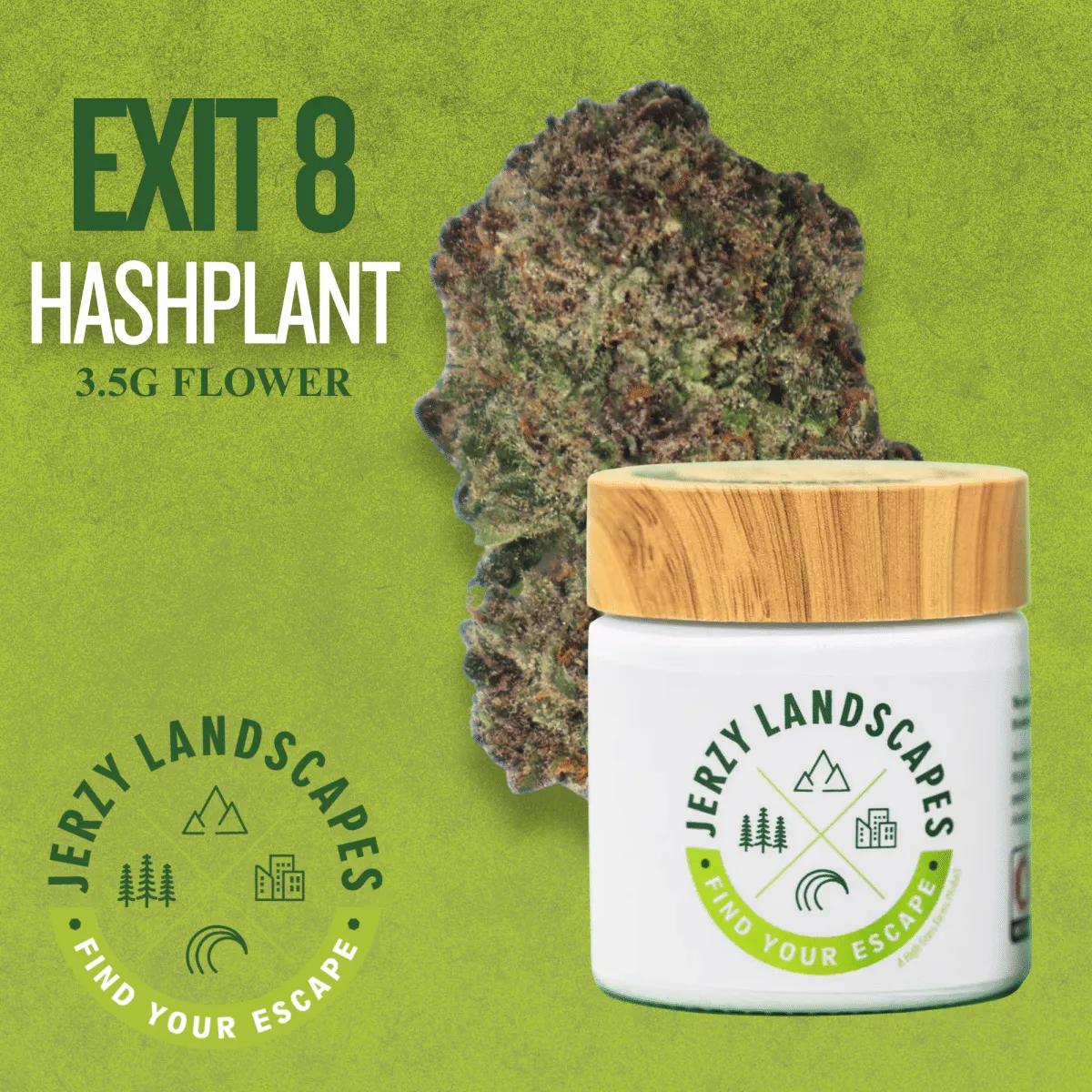 Exit 8 HashPlant 3.5g