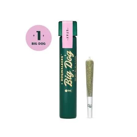 Jack's Delight Big Dogs 1g Pre Roll